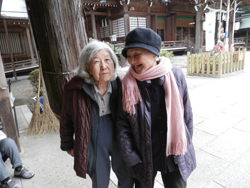 初詣(お正月は大麻彦神社) 初詣(お正月は大麻彦神社)