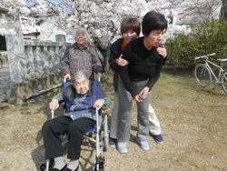 花見(季節に合わせた外出訓練) 花見(季節に合わせた外出訓練)